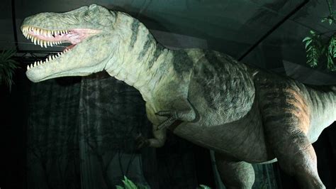 BBC News - In pictures: Dinosaurs invade Ulster Museum