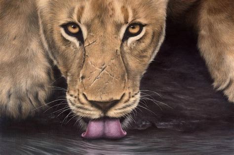 Lioness Painting Painting by Rachel Stribbling