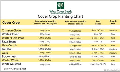 Consider Cover Crops – Skookum Food Provisioners' Cooperative