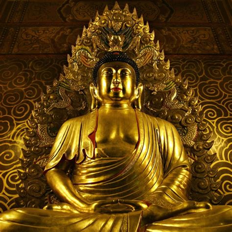 Download Religious Buddhism PFP