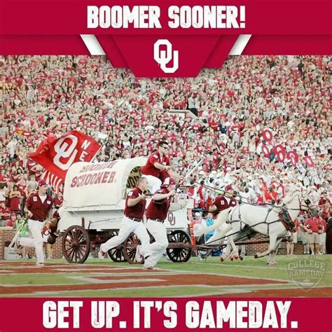 Boomer! | Boomer sooner, Sooners, Ou football