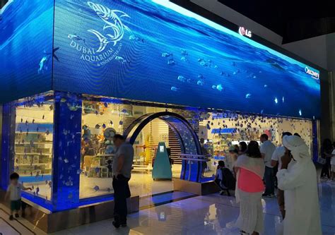 Dubai Mall Aquarium | Public Aquaria - News | MAT LSS