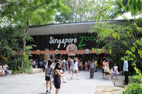 Zoológico de Singapur, tesoros naturales - Singapur - Ser Turista