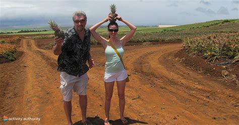 Maui Pineapple Tour - The Best Pineapple Farm Tour