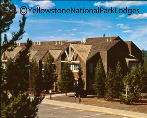 Grant Village - Cody Yellowstone