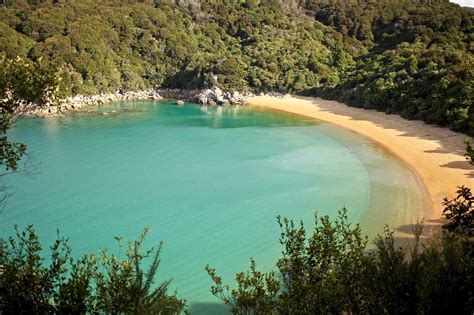 The Best 3 Beaches in the Abel Tasman National Park, New Zealand