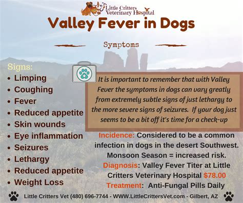 Valley Fever in Dogs - Symptoms Pet Infographic, Small Animal Clinic ...