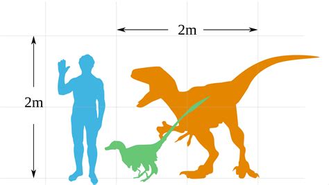 Velociraptor Size Comparison Jurassic Park – NBKomputer