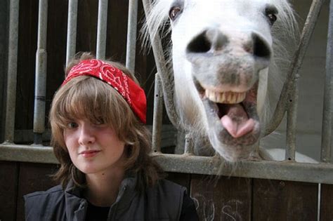 Horse Photobombs - Gallery | eBaum's World