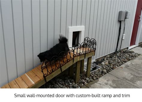 Wall-Mounted Cat Doors - Freedom Pet Pass Canada