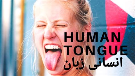 Human Tongue, structure and functions#funmaticsurdu انسانی زبان کی ساخت اور افعال - YouTube