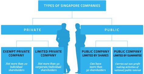 Types of Business Entities in Singapore | Rikvin