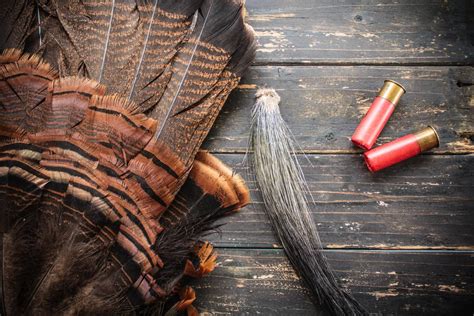 Turkey Hunting 101: The Gear That Gets the Job Done | GearJunkie