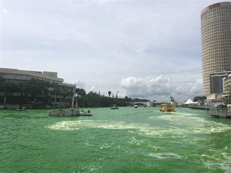 Tampa Riverwalk is festive today : r/tampa