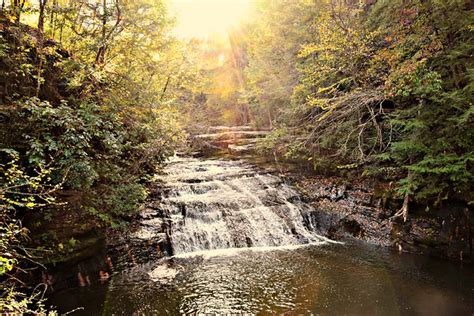 Bankhead National Forest Waterfalls Map - Bankhead Sipsey Hiking Trails, Check spelling or type ...