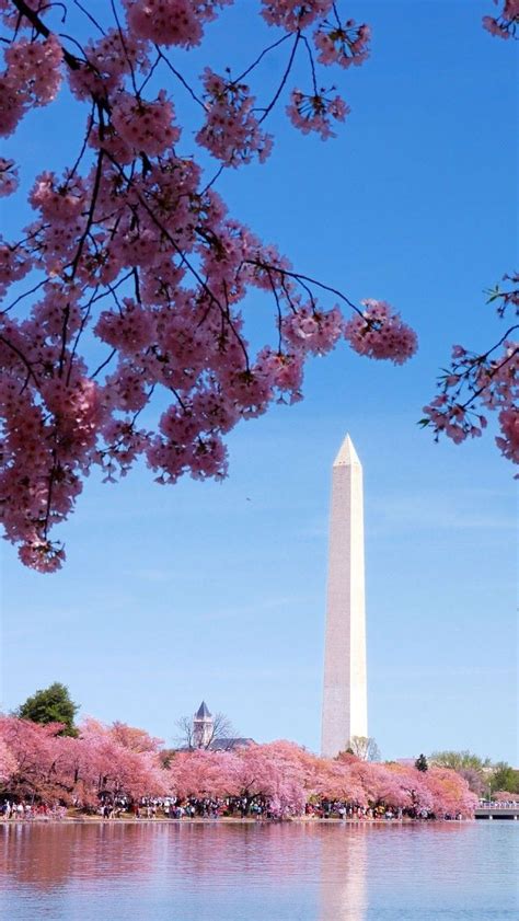 Obelisco, Washington DC | Washington dc monuments, Dc monuments ...