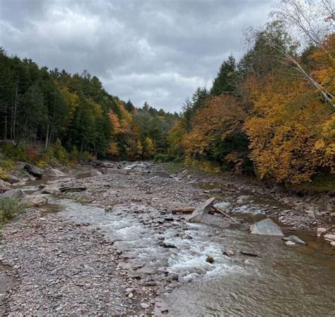 Catskills Fall Foliage & Hiking Challenges - New York Almanack