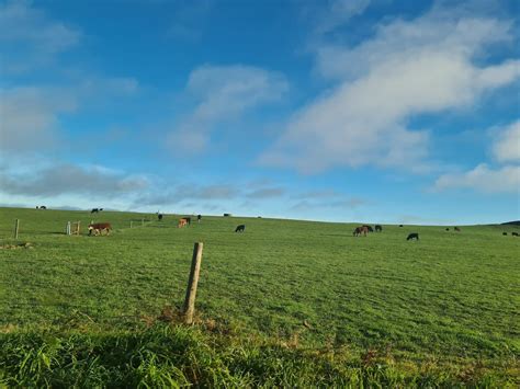 The Nut State Reserve – Leisure in Tasmania, reviews, prices – Nicelocal