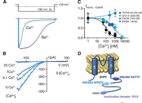 Figure 1 from Calcium absorption across epithelia. | Semantic Scholar