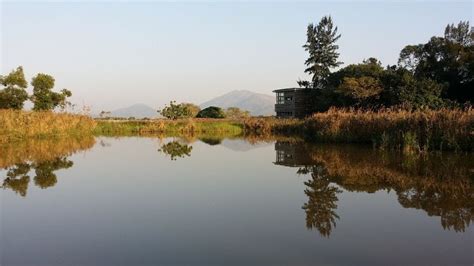 Hong Kong Wetland Park, yuen long, Hong Kong - Top Attractions, Things to Do & Activities in ...