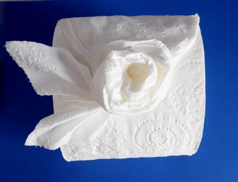 Make a Rose with Toilet Paper Origami | LoveToKnow