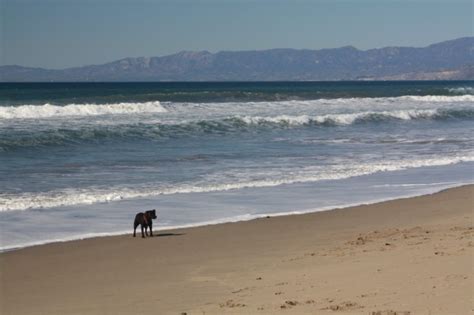 Oxnard Beach Park ('Olol'koy) in Oxnard, CA - California Beaches