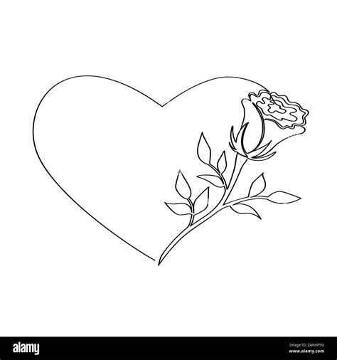 Rose inscribed in a heart isolated on a white background. Vector stock ...