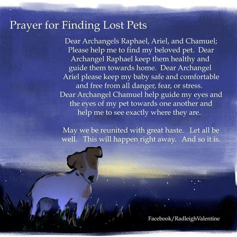 Jewish Prayer For Loss Of Pet – Pets Reference