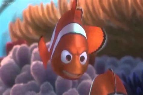 Marlin Hates Nemo - Iannielli Legend News