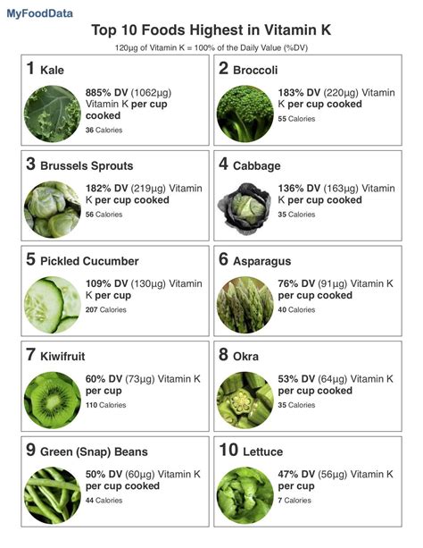 Foods Rich In Vitamin K - Wiring Diagram Pictures Guide 2020