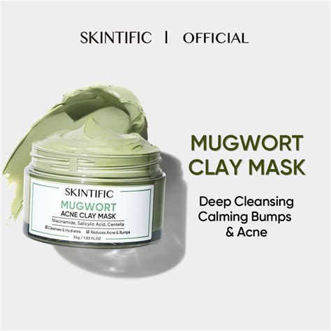 SKINTIFIC Mugwort Mask Anti Pores & Acne Clay Mask Moisturizing Oil ...