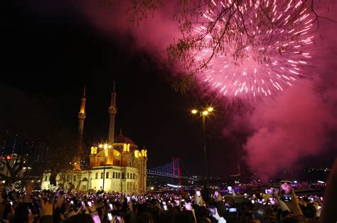 Experts highlight deadly fireworks risk for birds in Turkey | Daily Sabah