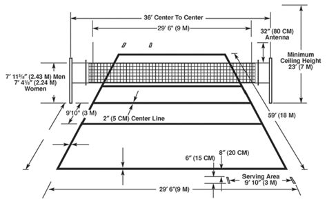 Volleyball Court Dimensions: Essential guide | Playo