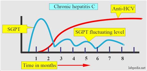 Hepatitis C Virus (HCV), HCV Profile, Diagnosis and Treatment ...