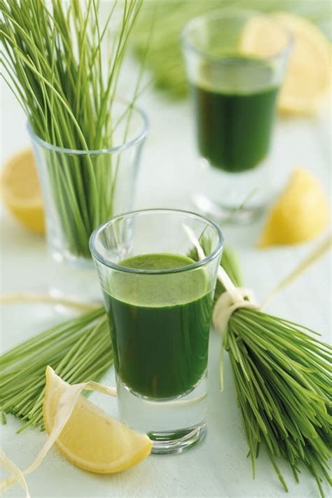 Get a dose of fresh goodness with this wheatgrass - Detox Juice Recipes | Shot recipes ...