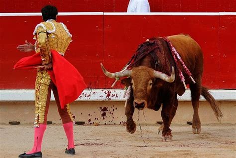 The Legacy Of Bullfighting In Spain