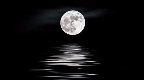 Cool Wallpaper Moonlight wallpaper