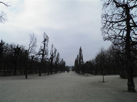 Schönbrunn Gardens : r/woahdude