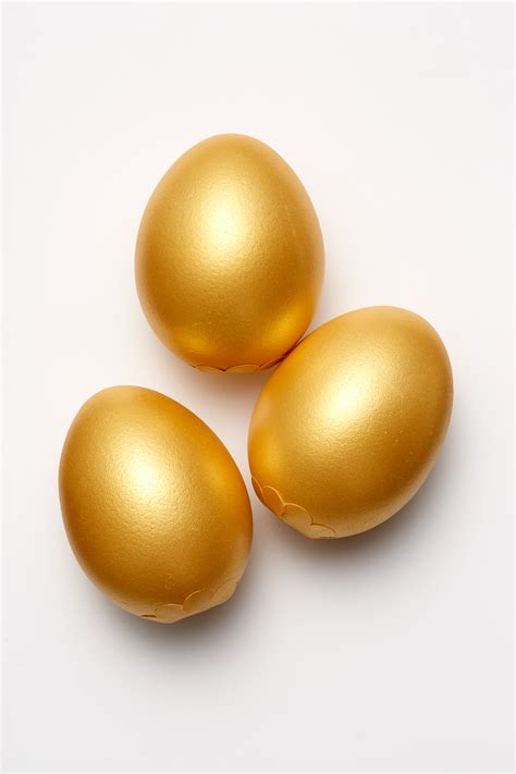 Golden Goose Egg - Coco Chocolate