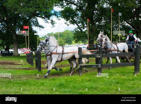 English carriage driving competition Stock Photo - Alamy