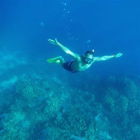 Catalina Island Snorkeling | Punta Cana Adventures