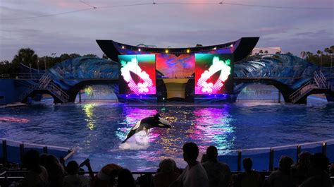 Summer Nights at SeaWorld Orlando begin June 23