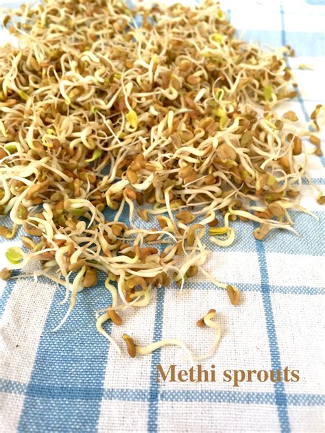 Sprouted Fenugreek / Methi Seed Salad Recipe | Saffron Trail