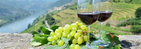 The Best Porto Wine Tasting Tours