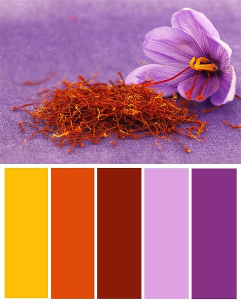 Saffron Color Palette | Color palette yellow, Orange color palettes, Purple color palettes