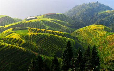 Longji rice terraces, China beautiful countryside wallpaper | nature and landscape | Wallpaper ...