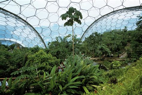 Eden Project Biome Photograph by Tony Craddock/science Photo Library - Fine Art America