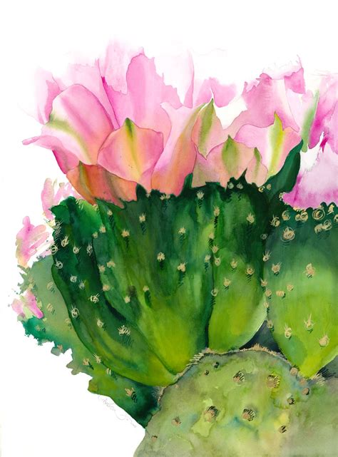 Cactus Flower - Adelman Fine Art Gallery | Watercolor flowers, Floral ...