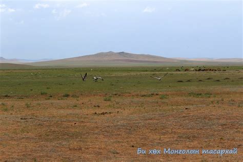 Улз голын хөндий | Дорнод аймаг Баян-Уул сум | Narkhuu Enkhbold | Flickr