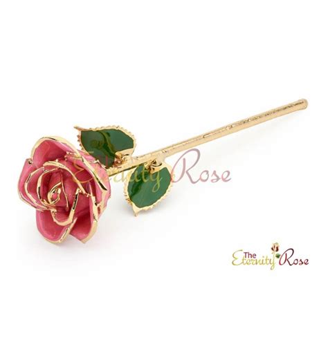 Gifts for Her-Pink-Glazed Gold Dipped Rose